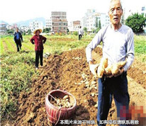 子女为争田地和果树，而不赡养年迈的父母